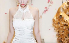 西北军军V2广东仔106G